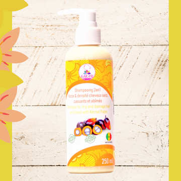 2 in 1 Strength and Density Shampoo for Dry, Damaged & Brittle Hair